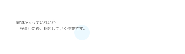 異物が入っていないか
　検査した後、梱包していく作業です。